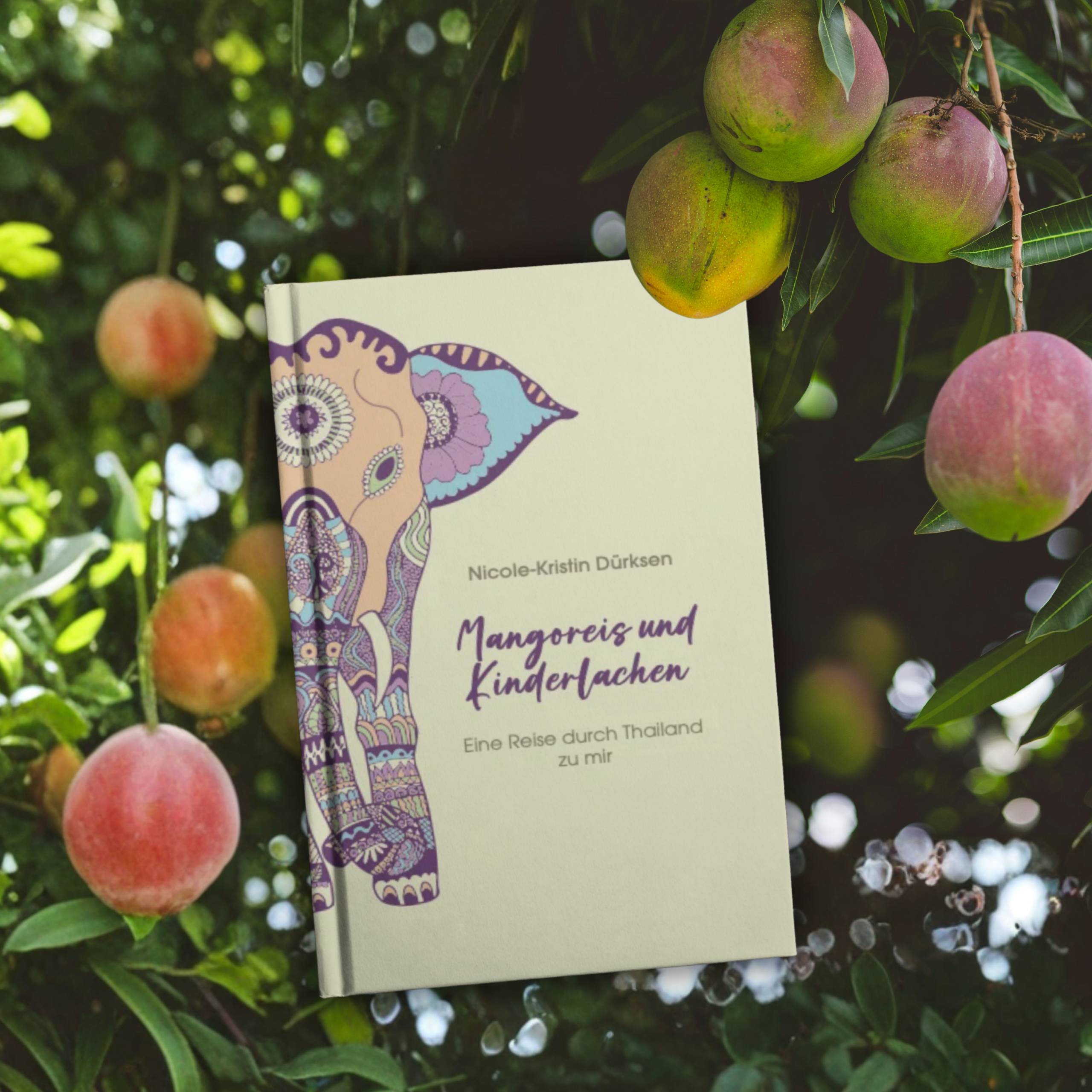Dürksen_Mangoreis_Selbstverlag