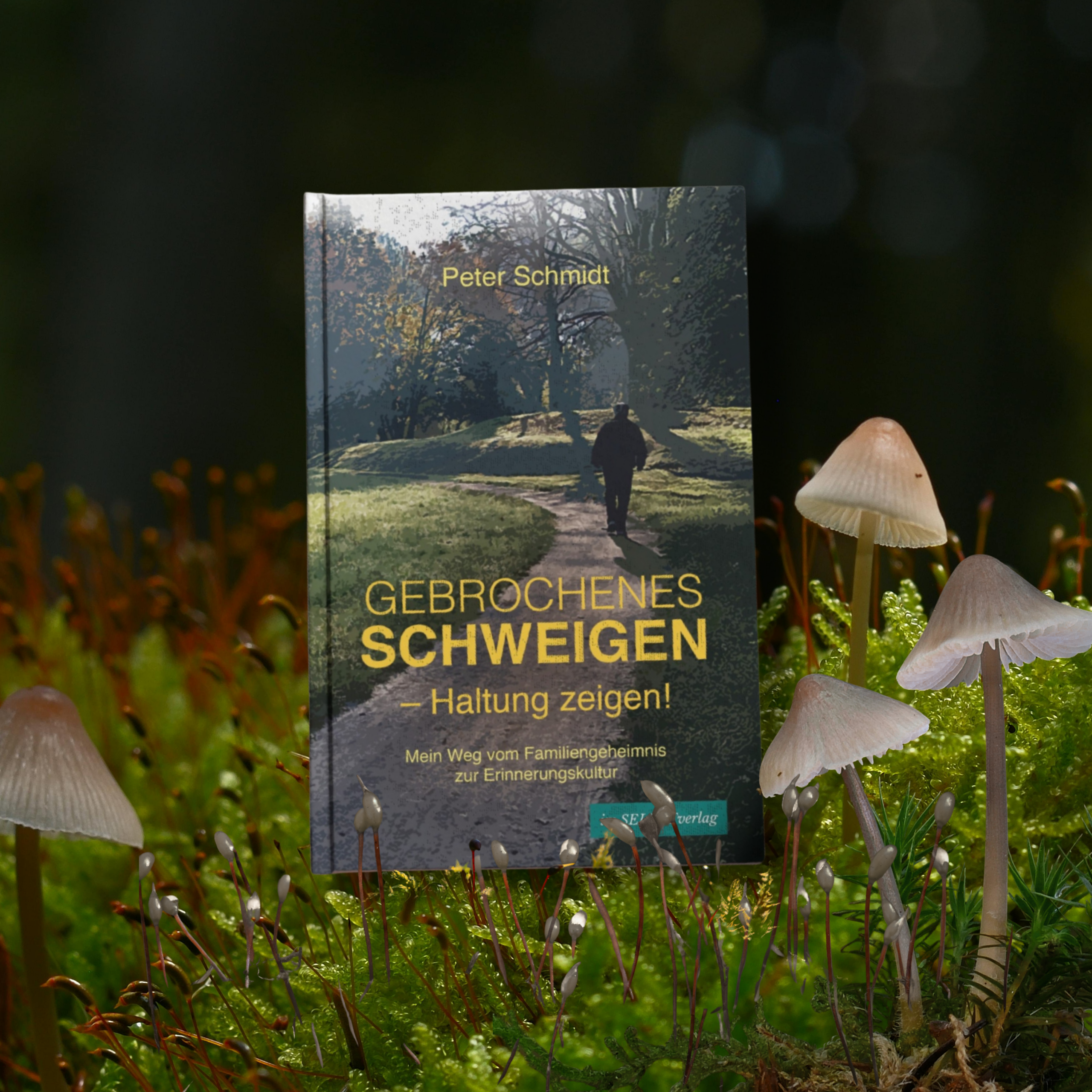 PeterSchmidt_GebrochenesSchweigen_ImSelbstverlag